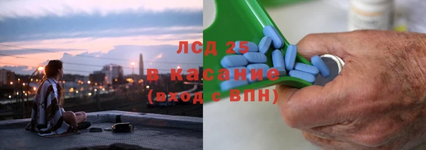 spice Новодвинск