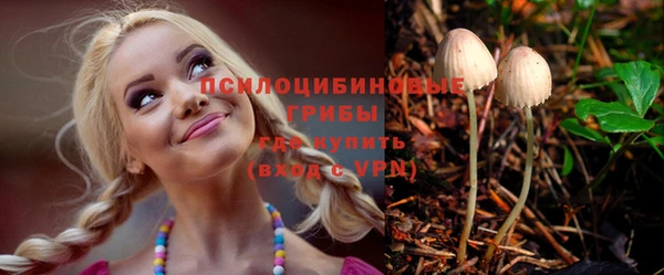 стафф Арсеньев