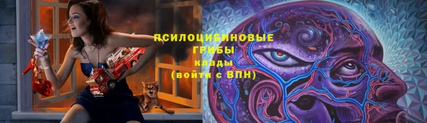 стафф Арсеньев