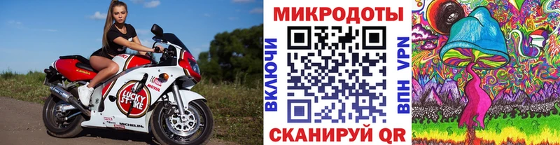 Псилоцибиновые грибы Psilocybe  хочу наркоту  Зеленоградск 